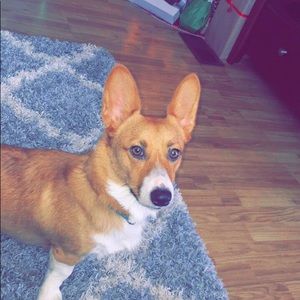 Meet your Posher, Haley